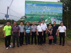 近日陆丰市大安镇爆料新闻,村民爆料事件引发关注